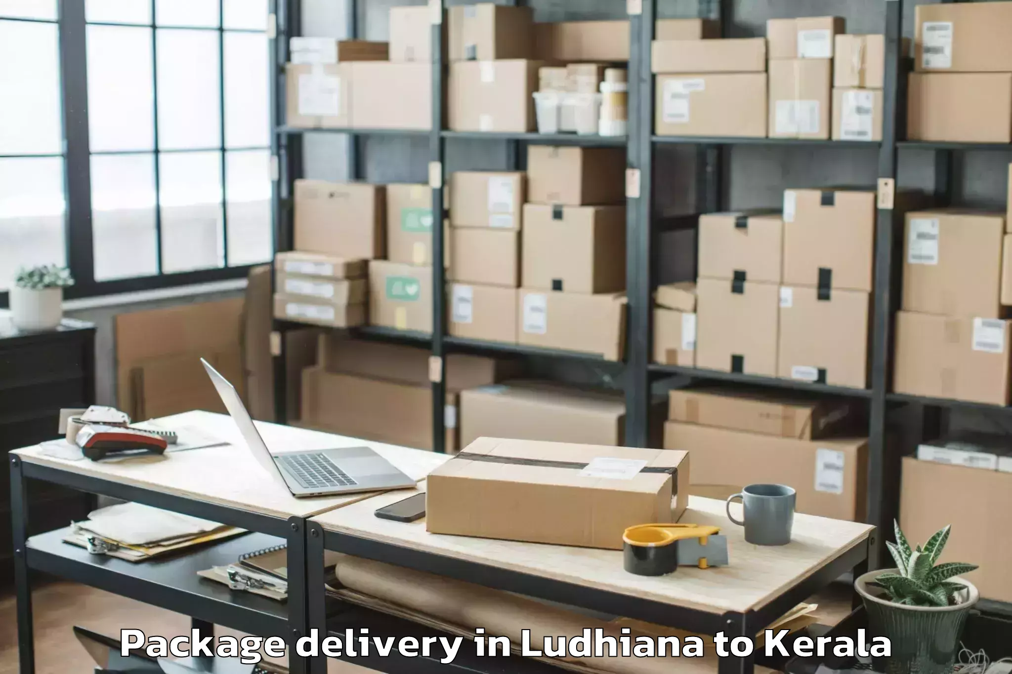 Top Ludhiana to Y Mall Thriprayar Package Delivery Available